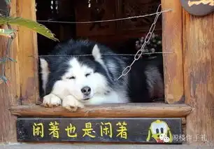 马蜂窝