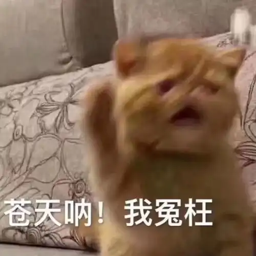 聊天是假,偷表情包是真