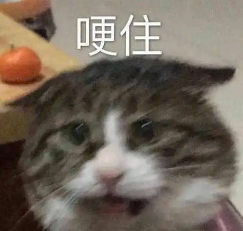暂别