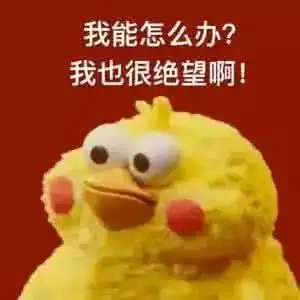 爸爸妈妈,我可以自己做决定吗