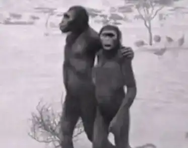 最近很火的18000年前猿人的搞笑文案带图片让人意想不到的沙雕句子