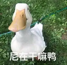 幽默笑话舅舅给我介绍个妹子,见了几次,感觉妹子对我印象不错