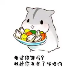 仓鼠夫君表情包老婆早上好老婆中午好老婆晚安