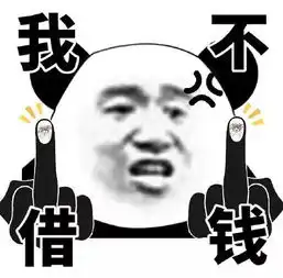 熊猫头竖中指微信表情包