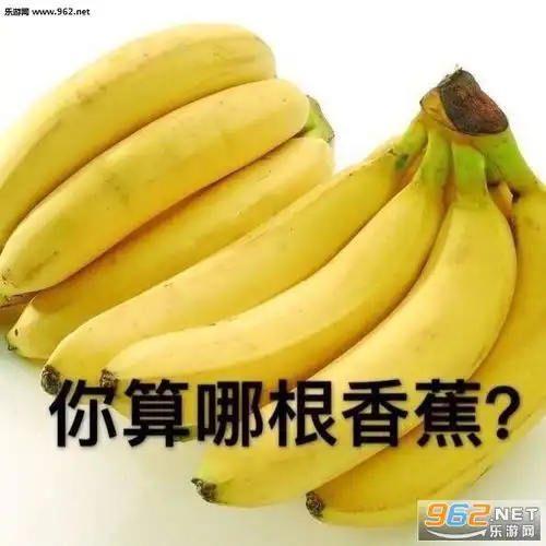搞笑的吵架表情包吵架表情包合集下载乐游网游戏下载