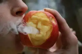 食物也有匪夷所思的爆笑造型