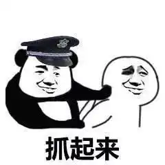 熊猫头警察系列表情包对不起,我是警察