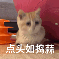 再你妈的见