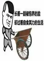 测试一个超长简介的文章