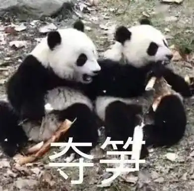 你存不存快点沙雕表情包来了