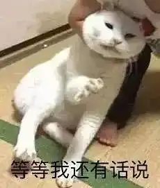 测试一个超长简介的文章