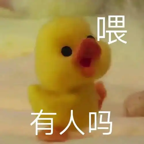 为什么和女朋友打赌我输了她却生气了...