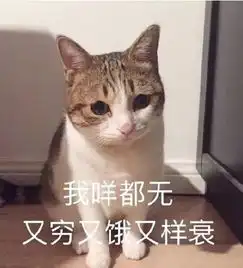 一条最近热门的猫咪的表情包火速收藏