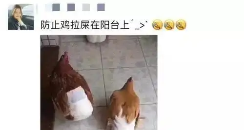以前到没什么感觉,现在才发现他们一家都蛮重口的小时候