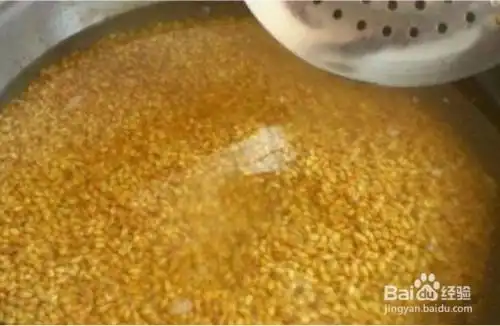 钓鲤鱼窝料怎么做钓鲤鱼用什么窝料