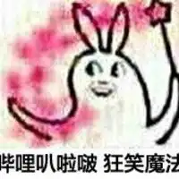 堆糖,美好生活研究所