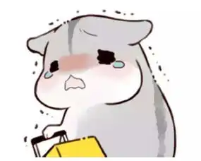 免费约拍帮人拍照是一种什么样的体验