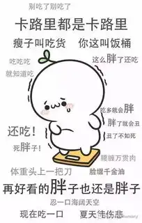 是时候向小细腿a4腰sayhello了