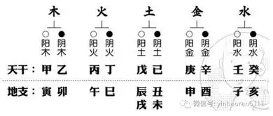 生活中哪些东东的五行力量最大