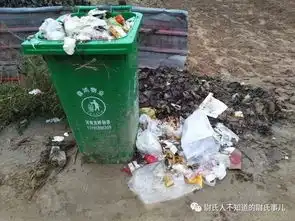 说起来有点搞笑自从俺村有了垃圾桶,村口就被垃圾堵了