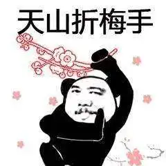 抖音武功秘籍我将毕生武功全都传给你熊猫头无水印表情包