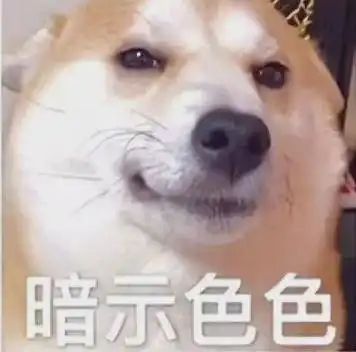 不可以色色表情包