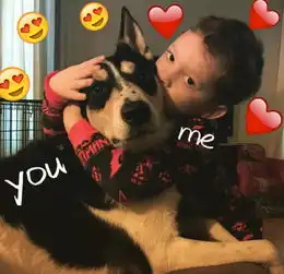 人不如狗系列一只狗子顶一保姆