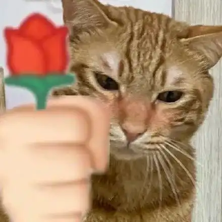 蕉太狼猫猫警察系列表情包