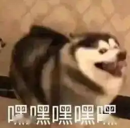 又要翻转接下来深圳将开启雨雨雨模式至于五一天气......