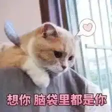这一年,她成为我生活的主角第三届研究生微信推文大赛