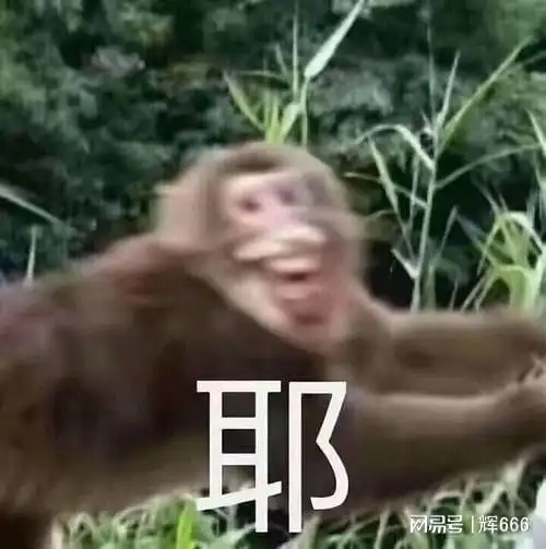 梦幻西游猴哥成佛,梦幻新区又出猛将正式开启