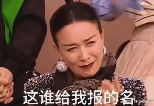 那英叶赫那拉氏那英表情包火爆全网网友称那英的表情亮了