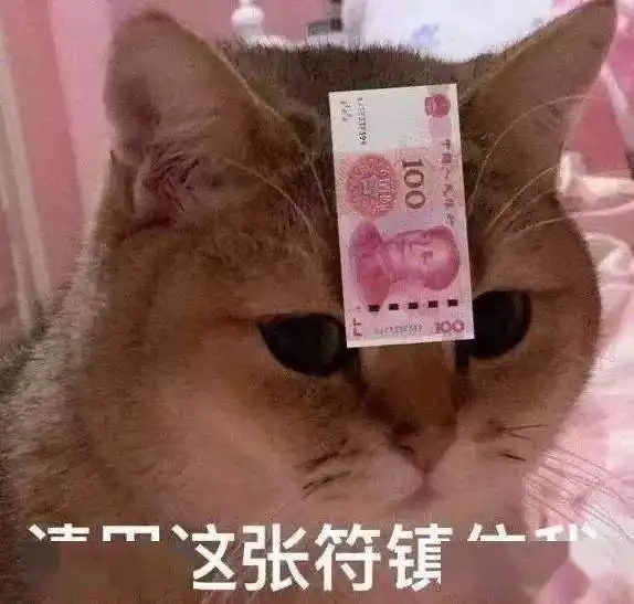 揭秘双11民大学院旗舰店开业啦
