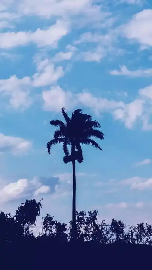 壁纸五一快乐,来换张手机壁纸吧