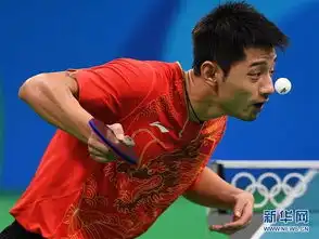张继科马龙会师乒乓球男单决赛高清八