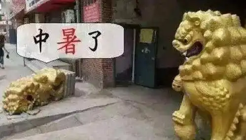 好看的皮囊没有,有趣的灵魂管够