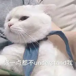 萌死你的喵星人头像搞笑逗比常常去想念总是在等待
