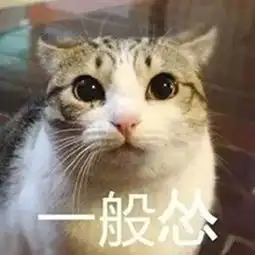 欢笑集锦老婆的闺蜜结婚叫我代她去参加婚宴