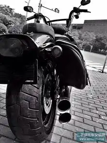 海盗大弹簧哈雷戴维森harleydavidson浙江湖州市73000元