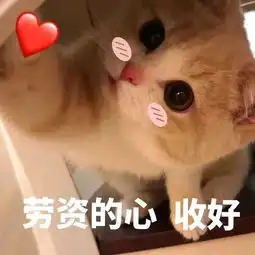 猫咪表情包劳资的心,收好