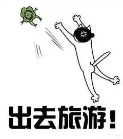 海量低清图,今年斗图就靠这些表情包了拿走不谢