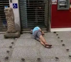 搞笑图片女司机开车的后果,真是伤不起啊