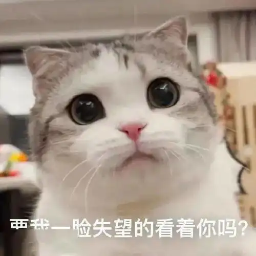 可爱仙女表情包亲亲这边建议你中意我一下