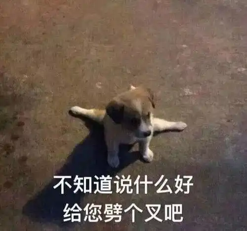 雨雨雨雨雨...雨呢搁哪了下丢了啊说好的暴雨还会来吗