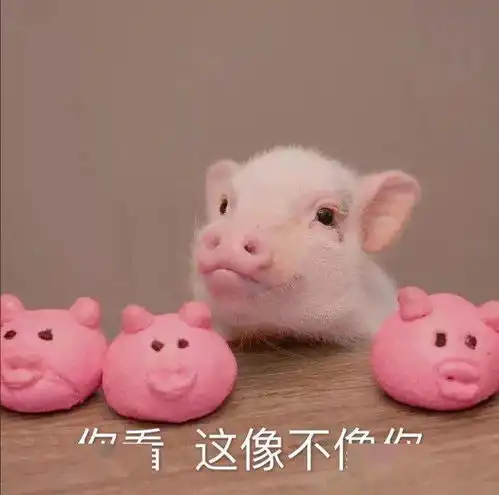 今日表情包我会为自己的可爱负责的