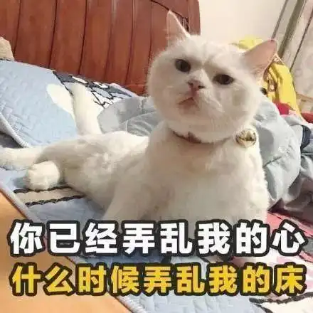 喵味情话表情包被你赞过的朋友圈,叫甜甜圈