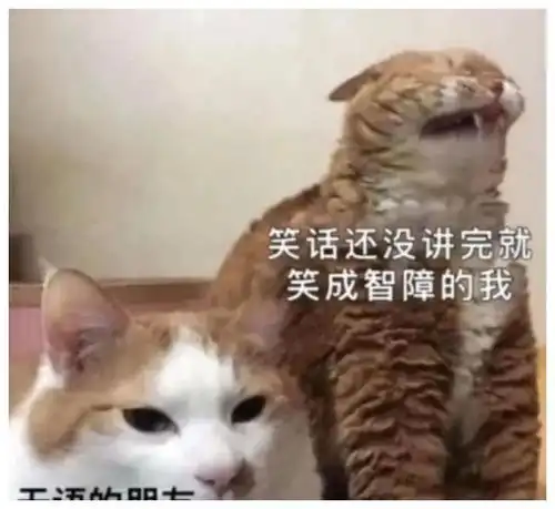 神回复你的笑点也太低了,你朋友都对你很无语了