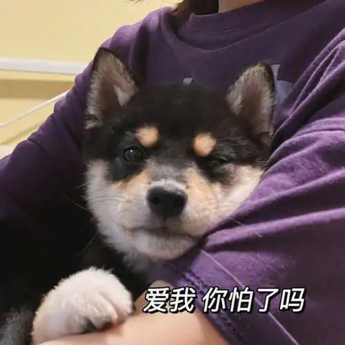求对象的话怎么说今日头条