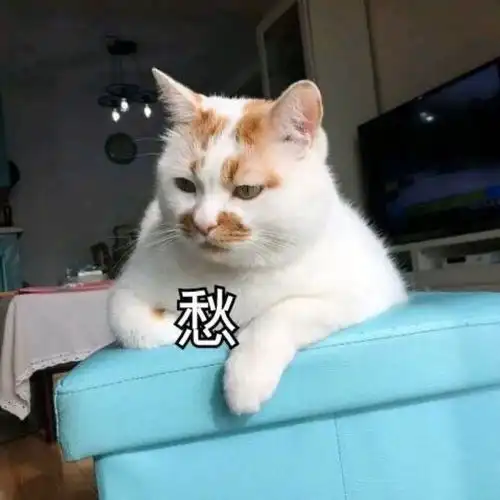 表情包