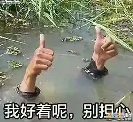 欢迎哥哥踏上爱我这条不归路图片好安静得找个机会骂人表情包下载乐游网游戏下载